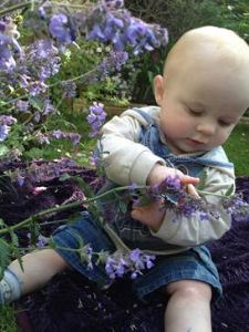Toddler investigating a plant